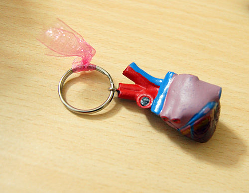 ETHICON エチコン キーホルダー 7コ エチコン 臓器キーホルダー4点セット