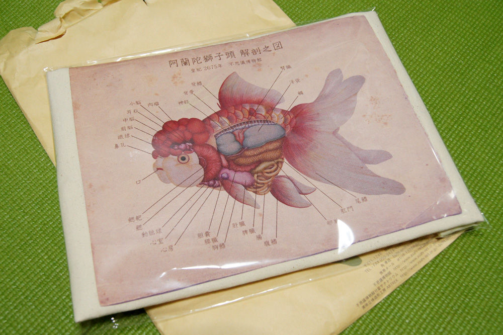 金魚解剖図部位解説付トートバッグ 上肢解剖no 37 尺骨動脈 人体解剖学など