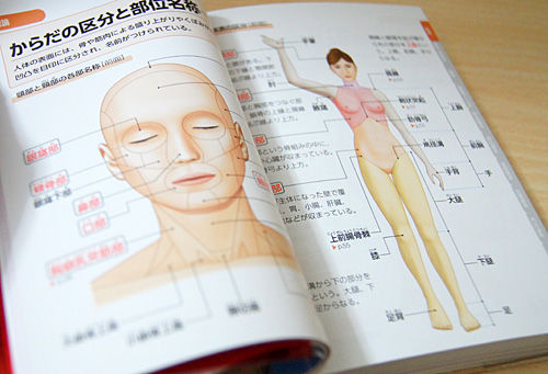 パッと引けてしっかり使える人体解剖用語ポケット事典 人体解剖学など