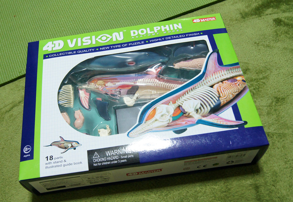 解剖モデル カエルの解剖モデル 動物の内臓モデル 解剖教育モデルツール 動物解剖モード カエルの解剖学的モデル - 動物の骨格モデル カエルの骨格教育モデル  デモンストレーションモデル 学校学生用教材ツール 解剖モデル カエルの解剖モデル 動物の内臓モデル 解剖教育 ... 4Dイルカ解剖モデル、動物教育デモンストレーション用臓器解剖学、取り外し可能な18パーツ、動物教育デモンストレーション科学研究解剖学