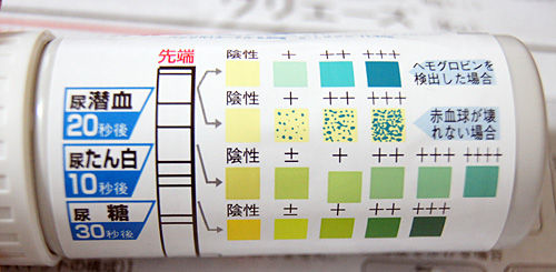 ウリエース ｋｃ 人体解剖学など