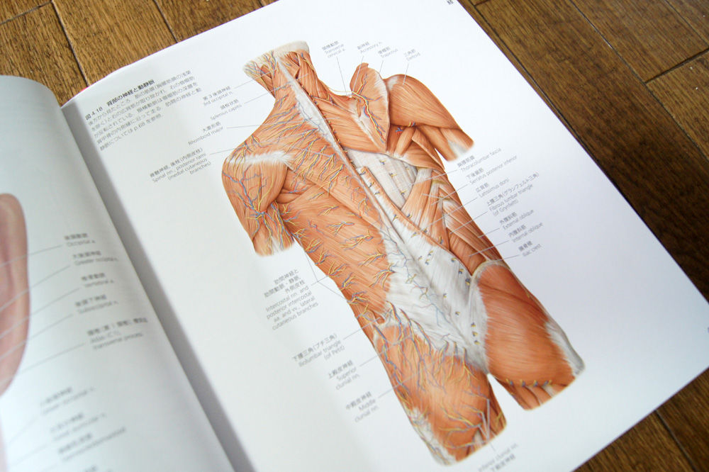 人体解剖学など。: プロメテウス解剖学 コア アトラス 第2版