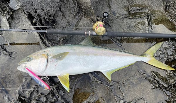 アピア Foojin'RS バーバリアン C90MH+ 【公式通販】