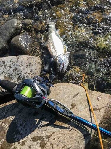 ブルーカレントⅢ 82/B : ベイト使いな日々