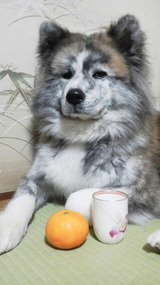 2013123103250000