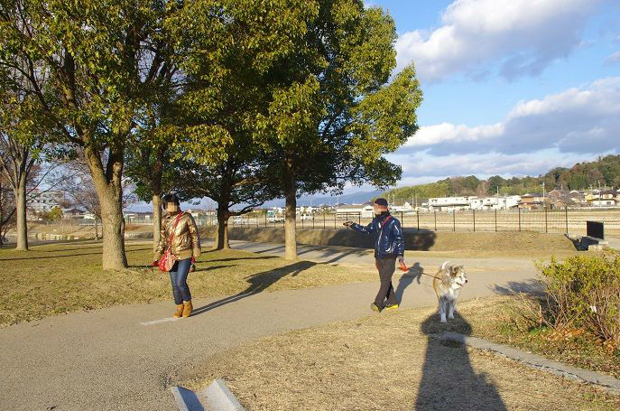 橿原運動公園 狐につままれる日常