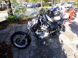 DSCF8727