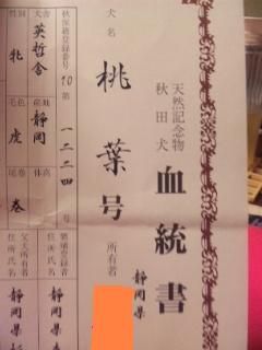 生き別れの兄弟を探して 狐につままれる日常