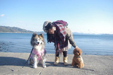 BlogPaint