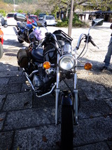 DSCF8728