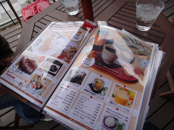 お注射とコッソリはつが野テラス 狐につままれる日常