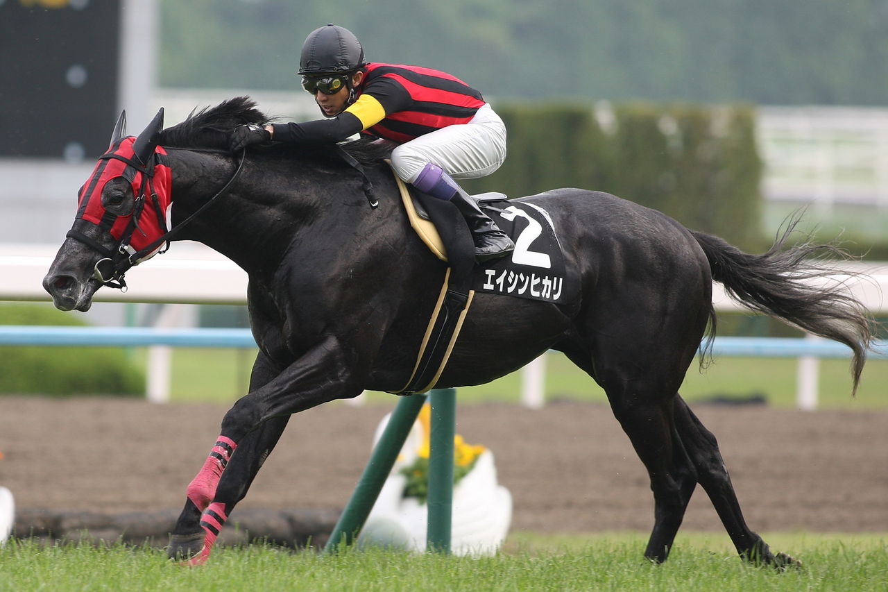 エイシンヒカリ 復活逃走v 土曜京都 都大路s 幸運は駿馬のたてがみ エイシンヒカリ 復活逃走v 土曜京都 都大路s 幸運は駿馬のたてがみ