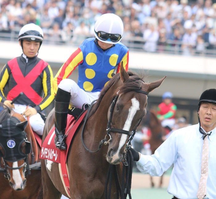 衝撃画像 ダービージョッキー川田が菜七子のケツをガン見ｗｗｗ 競馬2chまとめ うまとめ