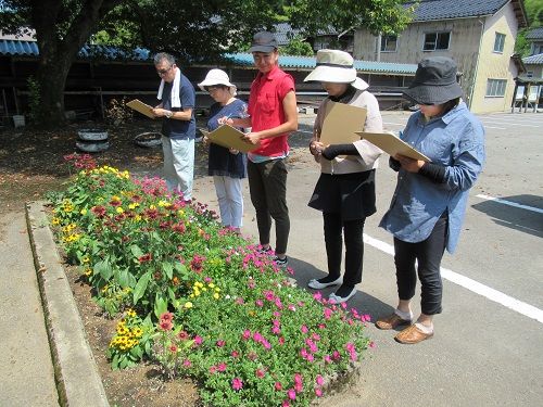 きれいな町づくり 花いっぱい運動コンクール審査 ふれあい日記