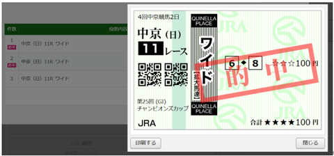 241201中京11Rワイド