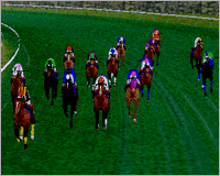 有馬レース4