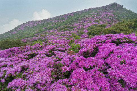 resize0914