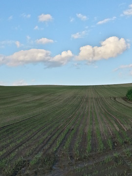 20140921_163221_HDR