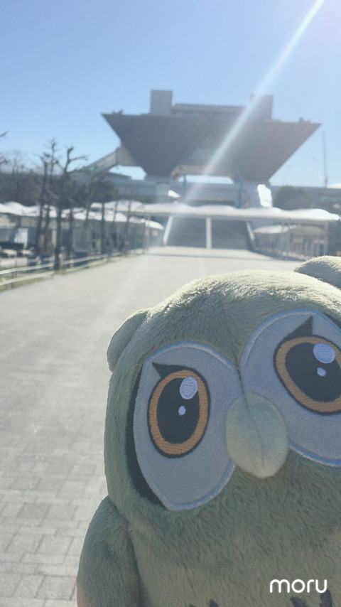 写真 2018-12-28 10 37 27