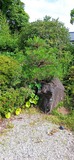 IMG_20220626_160456