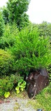 IMG_20220625_112450