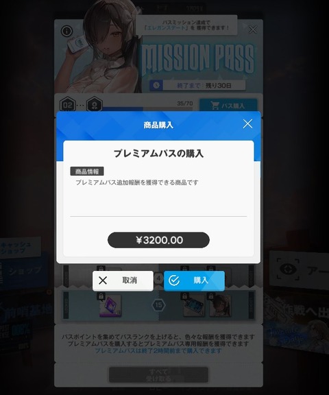 ミッションパスエレガントデート (2)