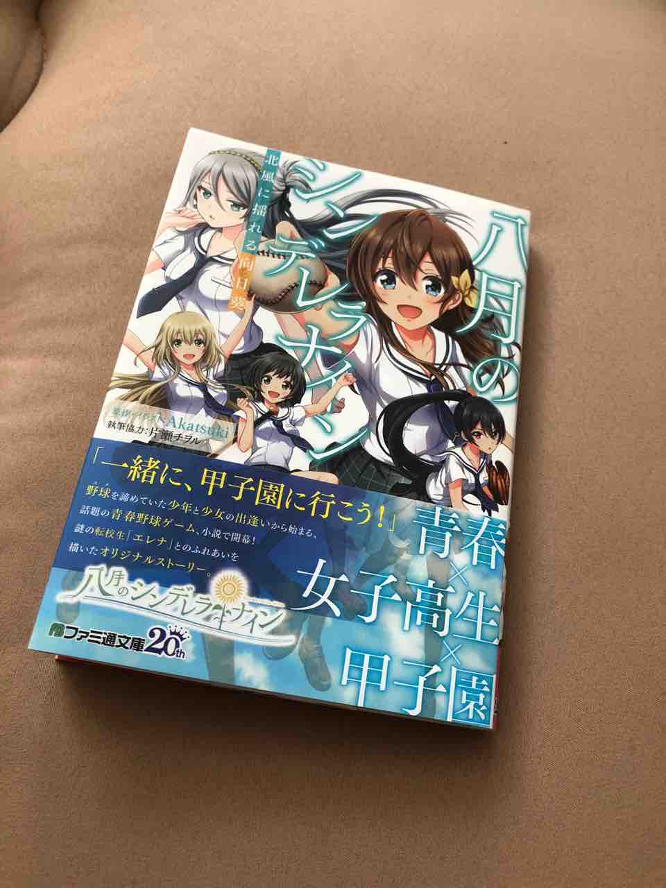 公式ラノベ 八月のシンデレラナイン 感想 辛いのあり なすがまま浮雲 公式ラノベ 八月のシンデレラナイン 感想 辛いのあり なすがまま浮雲