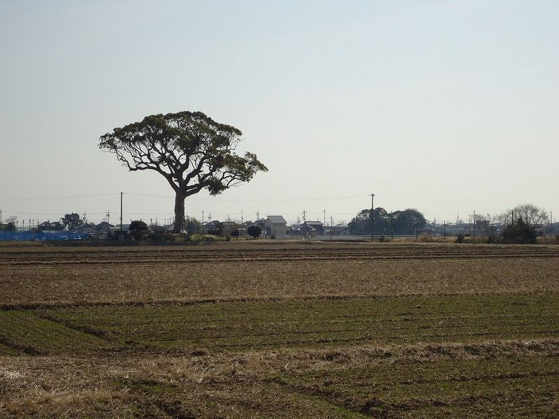 8431c82f.jpg