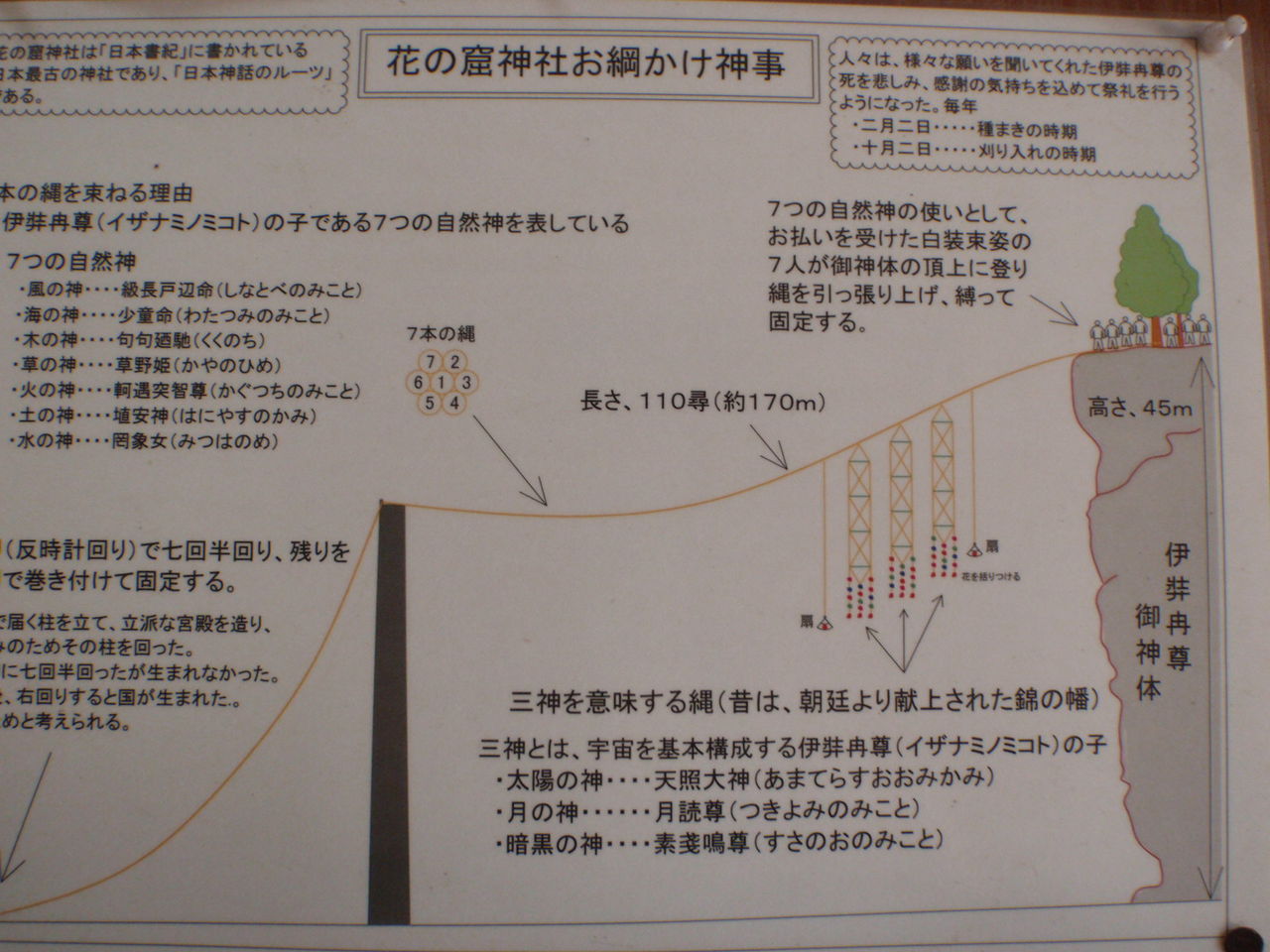 イメージ 5