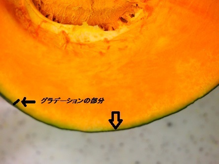 グラデーション かぼちゃ