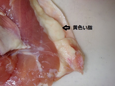 鶏チャーシュー 黄色い脂