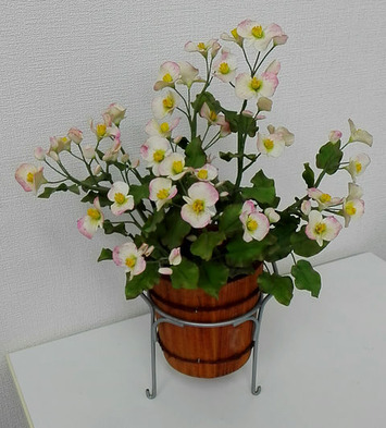 5月