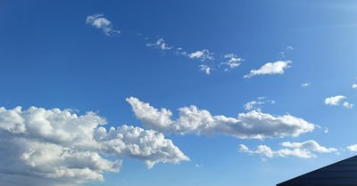 IMG20241208132346~2