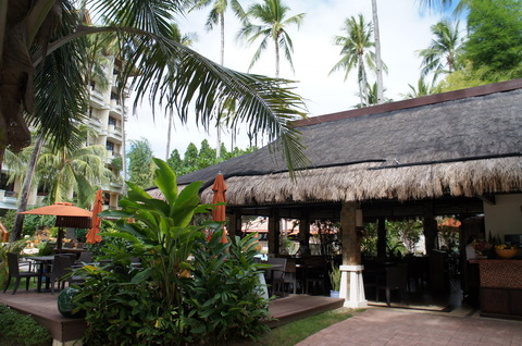 DSC06646