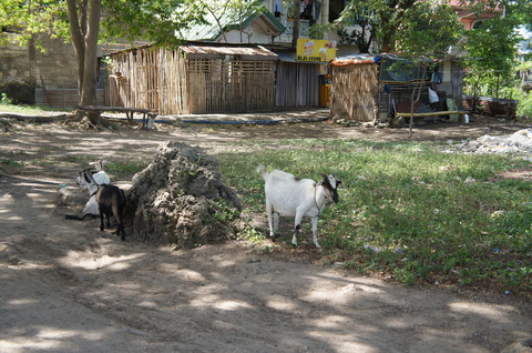 DSC06680