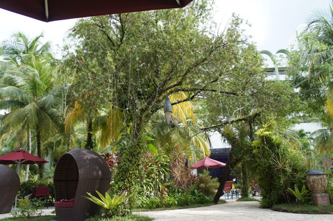 DSC04815