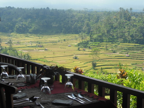 DSCN0364