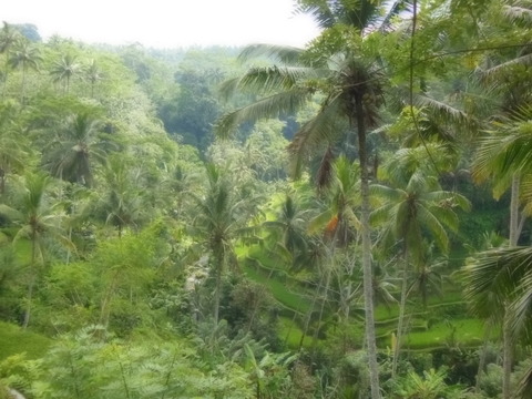 DSCN0231