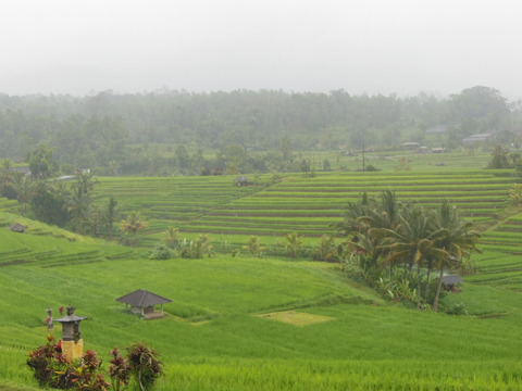 DSCN1520