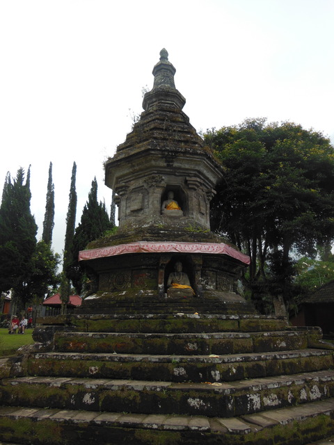 DSCN1545
