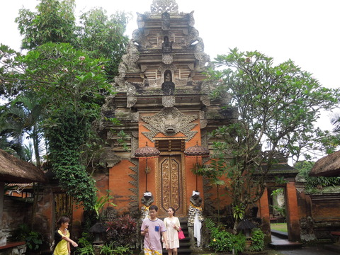 DSCN5240