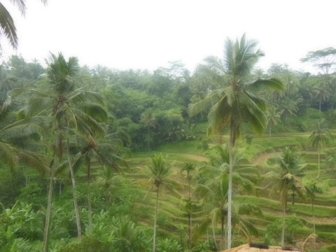 DSCN0311