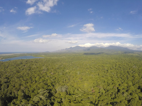 West Bali National Park
