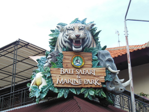 DSCN5148