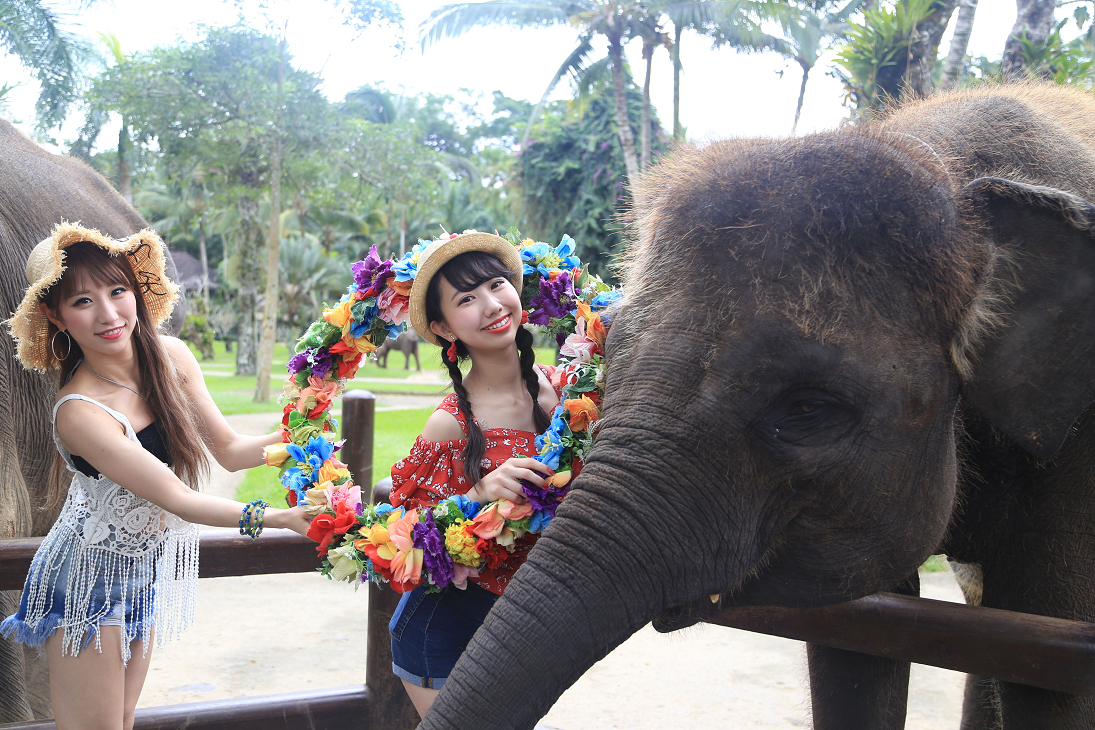 象乗り エレファントライドはメイソンアドベンチャーが本家本元 このエレファントパーク全体がフォトジェニック インスタ映えゾーンといえます バリ島のブログ バリチリ家の人々