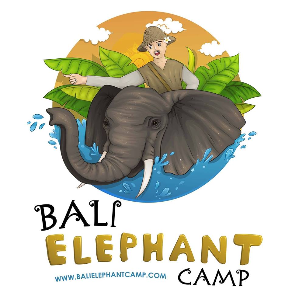 バリ エレファントライド 象乗り を比較研究 バリ島のブログ バリチリ家の人々