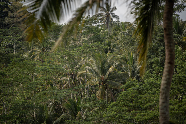 DSC_8499