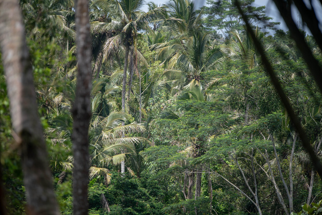 DSC_8249-2