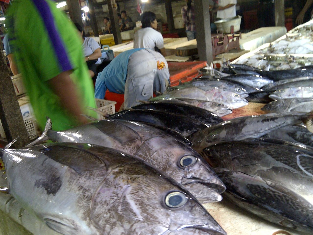 魚 魚 魚 魚を食べると バリ島のブログ バリチリ家の人々 魚 魚 魚 魚を食べると バリ島のブログ バリチリ家の人々