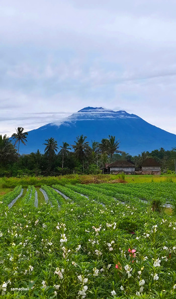 kampung